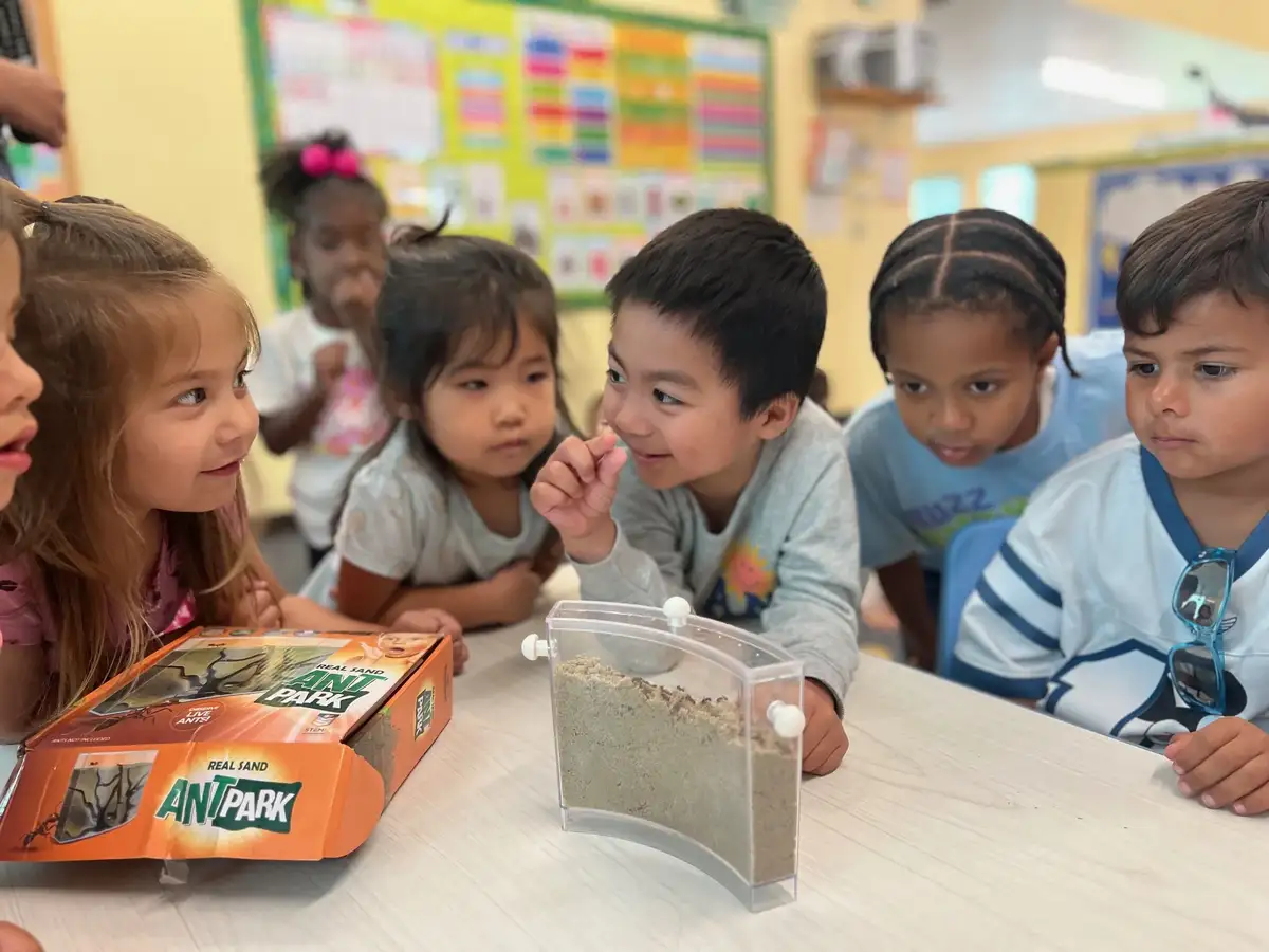 Monthly classroom theme 4 at O.C. Kids Preschool