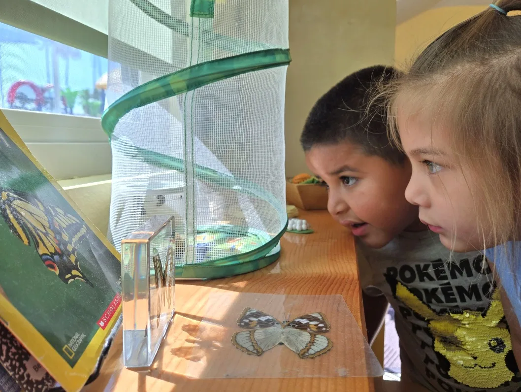 Why Choosing the Right Preschool in Orange County Sets Your Child Up for Life